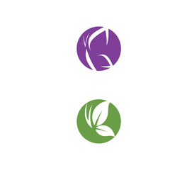 Beauty Butterfly icon design