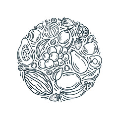 Vector fruits in round composition. A bright illustration of healthy fresh food. Isolated design elements in outline style. Ideal for poster, banner, packaging, and home decor. 