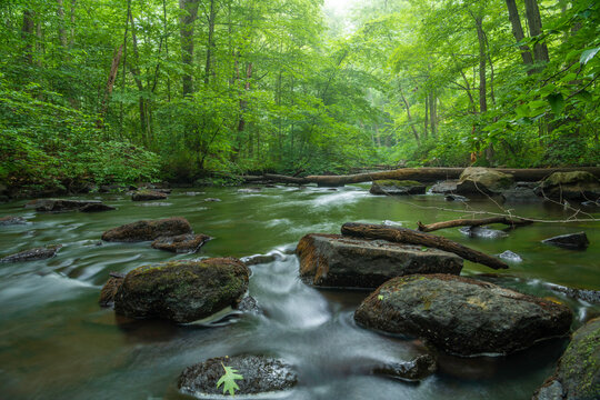 Dreamy Black River Flowing Through The Rocks Featuring Foggy Trees On The Background