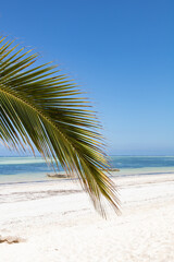 Obraz na płótnie Canvas dream beach in zanzibar, tanzania