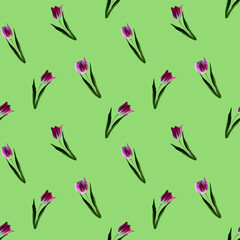 Obraz premium Gouache floral tulip backgraund. Seamless colorful spring pattern. Painted violet tulip plant on light green background. Purple blossom. .