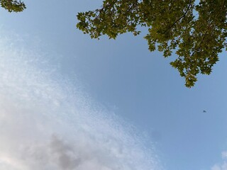 Cielo