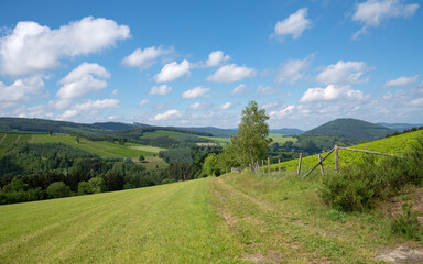 Fototapeta premium Sauerland region close to Winterberg with a small hiking trail, Germany