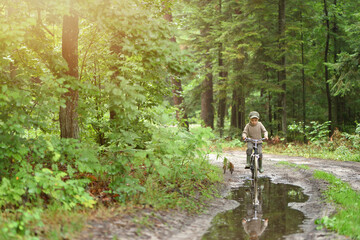 Obraz premium 5 years old boy is having fun in the forest. The active child is riding a bicycle. Active recreation.