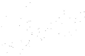 Flock of birds isolated on white background