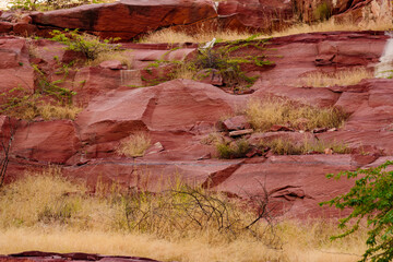 Sandstone forms when layers of sand accumulates by sedimentation are compacted & cemented by...