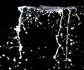 Splashes of white milk isolated on a black background.