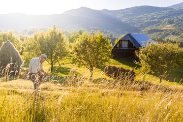 Senior farmer using scythe to mow the lawn traditionally with rural landscape in summer light © Popa