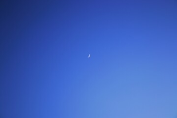 moon in the sky