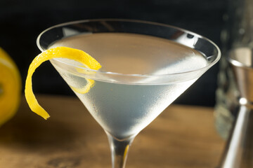 boozy Refreshing Gin Martini