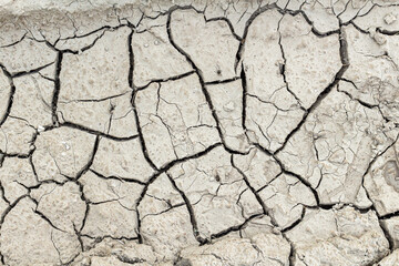 Cracked dried earth texture background, close up.
