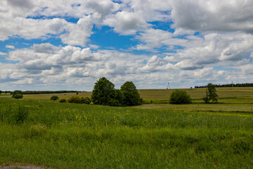 agricultural landscape in Poland on a summer day
