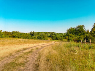Fototapeta na wymiar Summer rural landscape. A dirt road through a field surrounded by trees with green foliage under a blue cloudless sky on a sunny day.