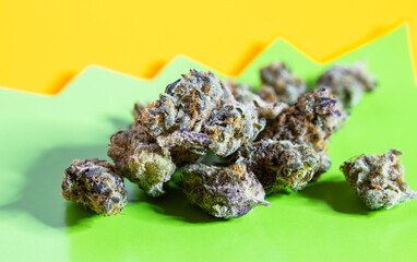 Close up of cannabis buds on a brightly colored background.
