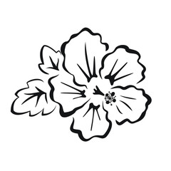 Vector Illustration of Hibiscus flower