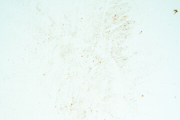 Fototapeta na wymiar Wall plaster. Texture, background. a leaf dirty with sawdust