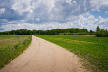 Fototapeta na wymiar Dirt road in rural fields and meadows area turns left. Cloudy blue sky, white clouds. Hiking trail in Polesie National Park, Poland, Europe.
