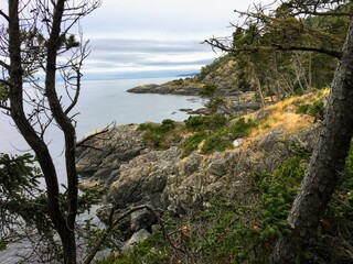 Fototapeta premium The beautiful rugged coastline of the famous east sooke coast trail along the rocky shores of southern Vancouver island overlooking the juan de fuca strait.