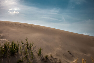 Heaps of sand washed up from the river that look like rocky mountains