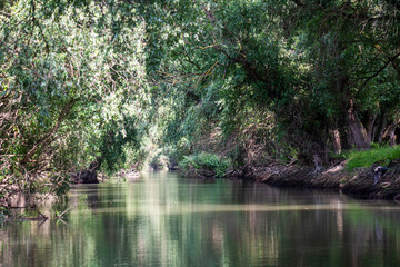 Landscape in the wild river