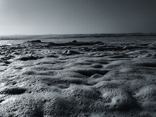 Espuma de mar