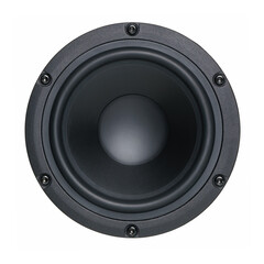 A black bass speaker membrane