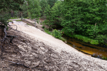 Sand dune next to river. Sandy slope hill in Solska forest area. Sopot river in valley. Roztocze, Poland, Europe.