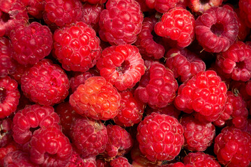 Red raspberry closeup, top view. Berry background, backdrop, texture.