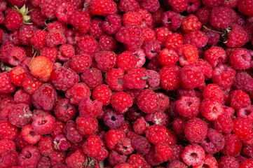 Red raspberry closeup, top view. Berry background, backdrop, texture.
