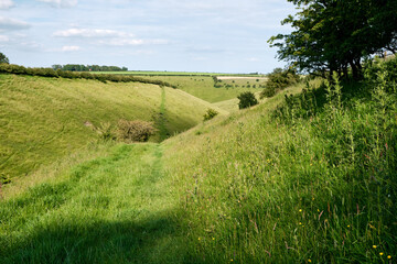 Fototapeta na wymiar A scenic valley in the Yorkshire Wolds with wild grasses growing on the banks and the Wolds Way through the middle