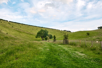 A beautiful green valley in the Yorkshire Wolds on the Wolds Way with sheep grazing