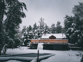 House under the snow