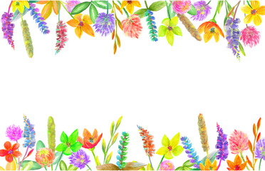 Watercolor colorful frame with summerwild flowers, spikelets blades of grass and leaves. White background