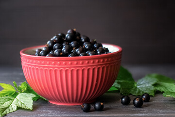 black currant berries in a bowl on the table close-up. background with fresh currant berries on the table.