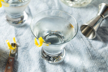 Obraz na płótnie Canvas Boozy Refreshing Gin Martini