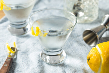 Boozy Refreshing Gin Martini