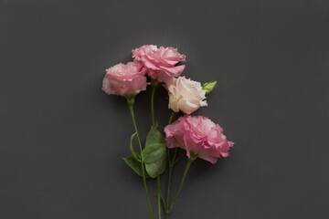 Pink eustoma on a gray background. Bouquet.