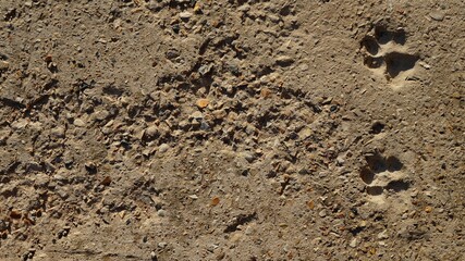 footprint in the sand