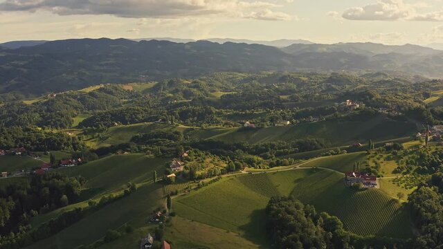 Aerial view of Austrian Vineyards in South Styria. Travel spot near Gamlitz, Austrian Tuscany. Region famous for white wine.