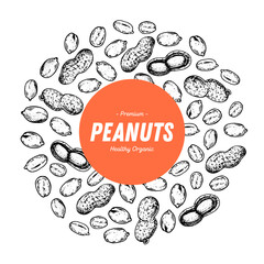 Peanut nuts hand drawn sketch. Peanuts label, logo. Nuts vector illustration. Organic healthy food. Great for packaging design. Engraved style. Black and white color.