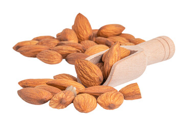Almond isolated. Almonds on white background with clipping path