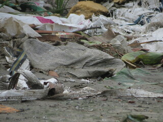 garbage on the beach