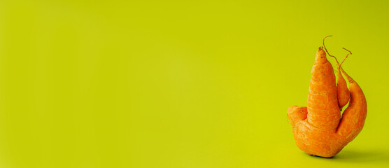 Ugly carrots on a green background. Banner. Trendy ugly organic vegetables. Cooking an ugly food concept. Non-GMO. Minimalism, pop art style. Space for advertising text