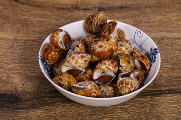 Tasty mollusk - spotted Babylon in the bowl