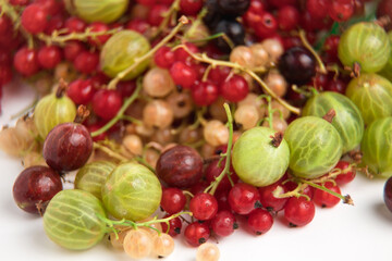 Assorted berries close-up. Ripe berries. Currants, black, red and white. Green and red gooseberries. Summer berry. Lots of vitamins.