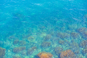 Fototapeta na wymiar clear sea azure water . the view from the top