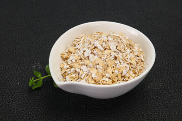 Raw oats in the bowl