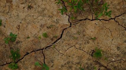 soil in the ground