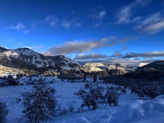 snow covered mountains
