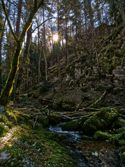 PIC62936-a